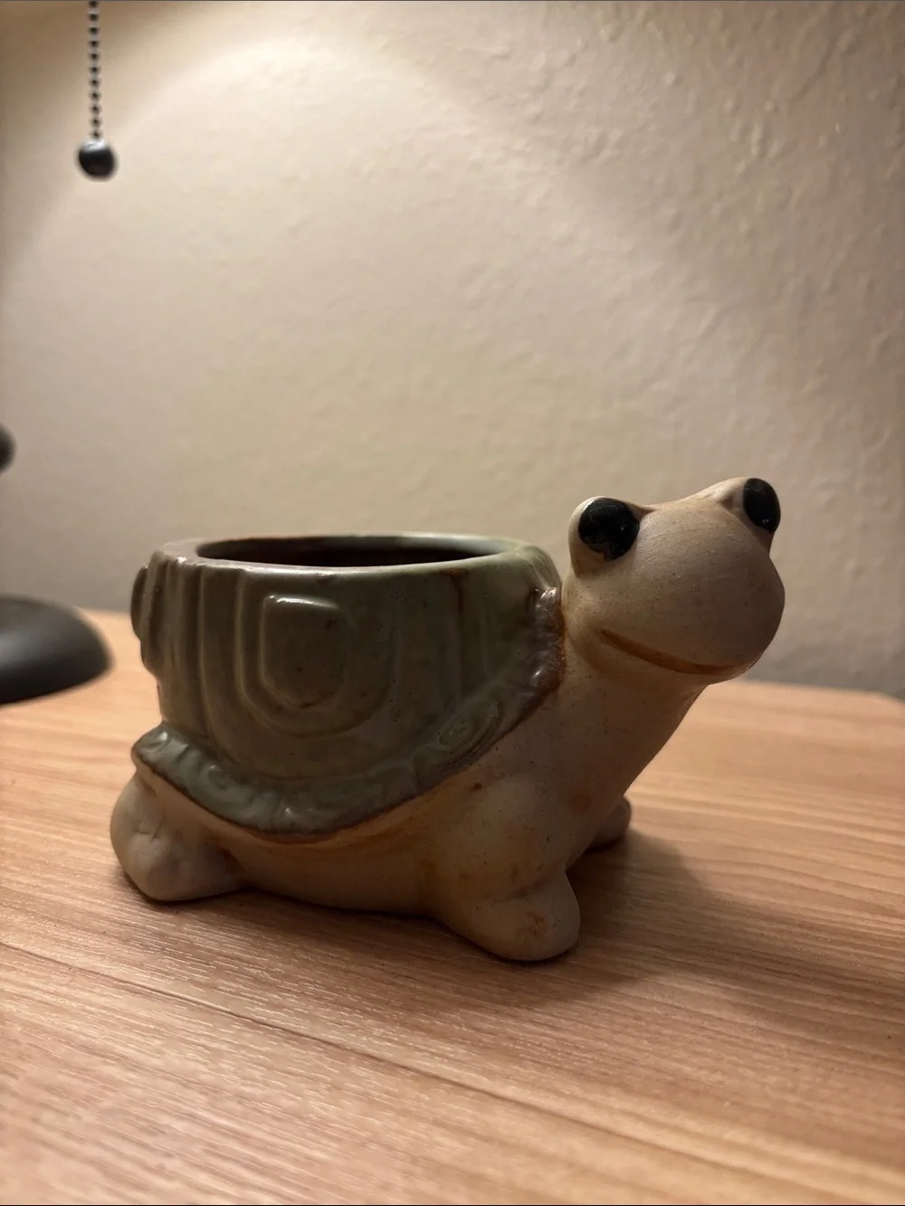 Turtle pot